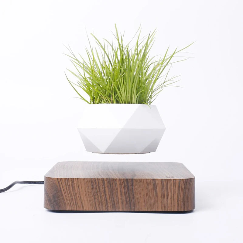 Hovering Plant Pot