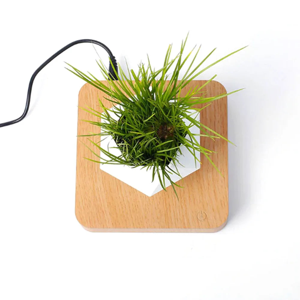 Hovering Plant Pot